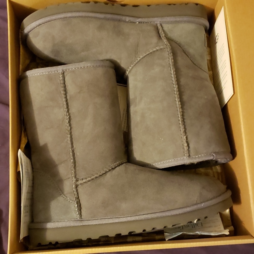 Brand New Gray Classic Short Uggs